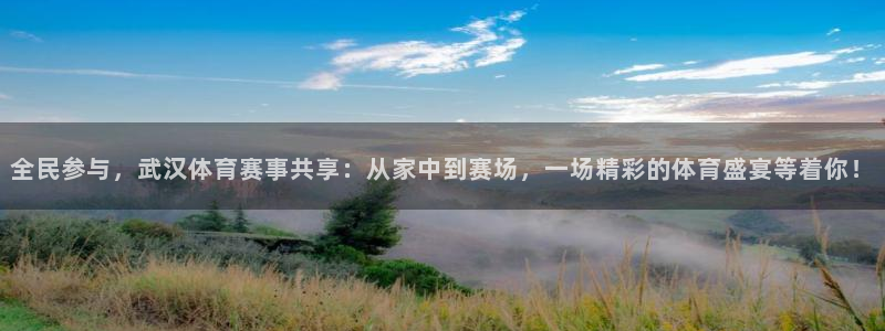 全民参与，武汉体育赛事共享：从家中到赛场，一场精彩的体育盛宴等着你！