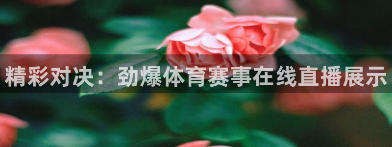 精彩对决：劲爆体育赛事在线直播展示