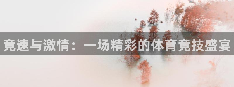 竞速与激情：一场精彩的体育竞技盛宴