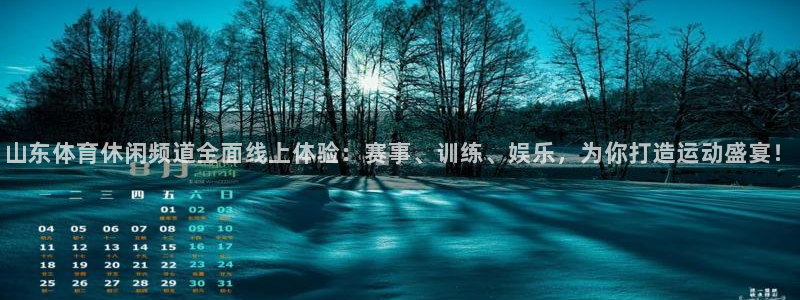 山东体育休闲频道全面线上体验：赛事、训练、娱乐，为你打造运动盛宴！