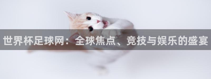 世界杯足球网：全球焦点、竞技与娱乐的盛宴