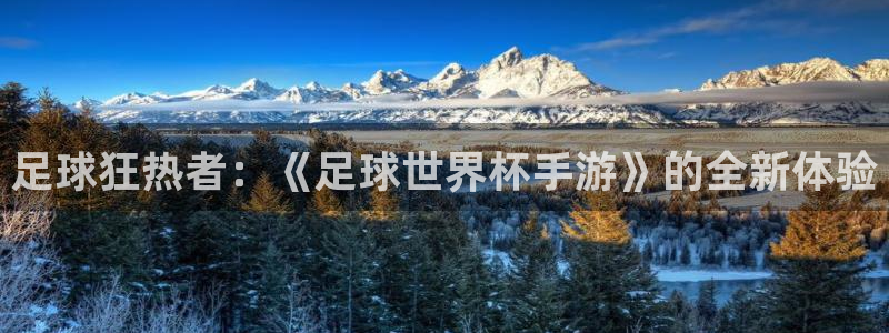 足球狂热者：《足球世界杯手游》的全新体验